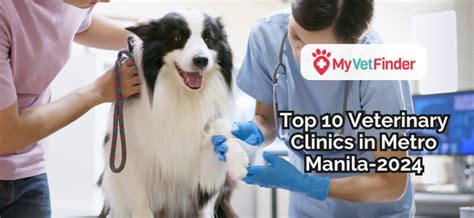 veterinarian muntinlupa|Top 10 Best Veterinarians Near Muntinlupa, Metro Manila .